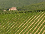  Florence, Chianti & Northern Tuscany 